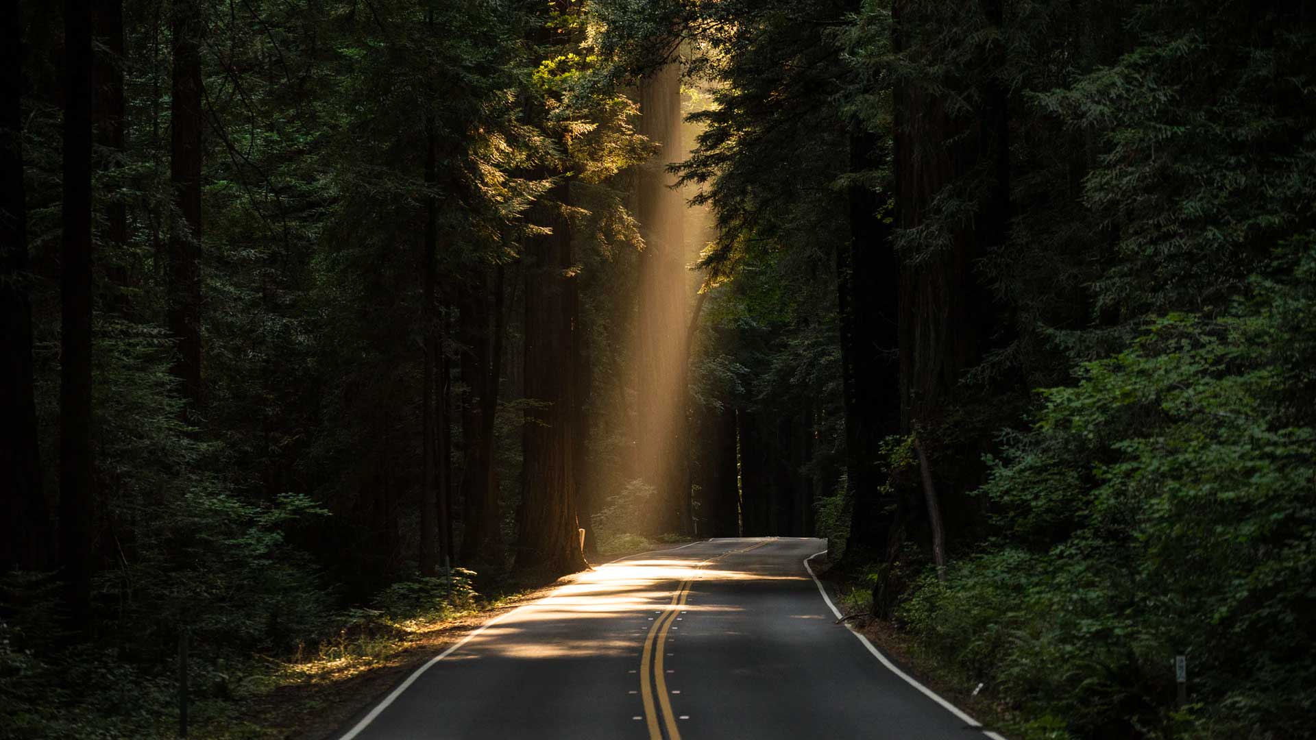 Mapping the Road Ahead: An Owner-Led Q&A with Outdoorsy’s Leadership Team